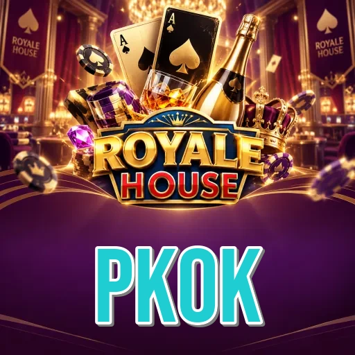 Expert Verdict - pkok Final Assessment